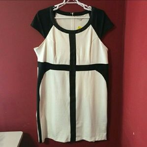 NWOT black and white bodycon dress